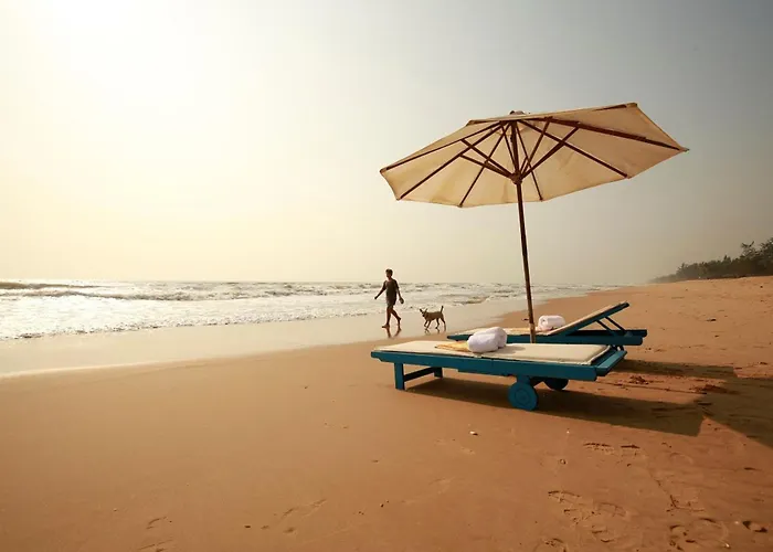 Warm Ways Ocean